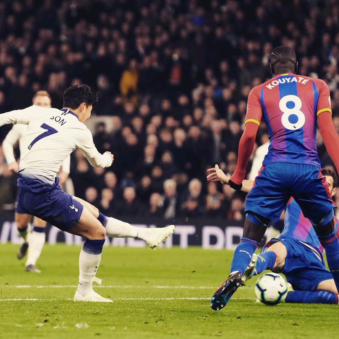 报道与公众 报道与公众